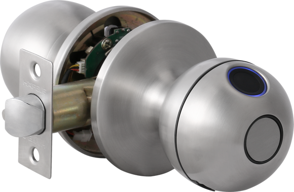 Hafele 499.21.233 DDL STELLA AK2501B STAINLESS
