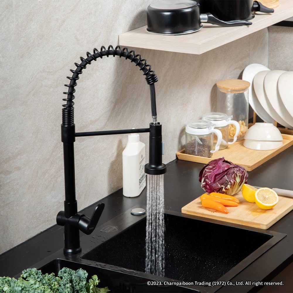 Rasland RA- BLACK PREME Kitchen Faucet