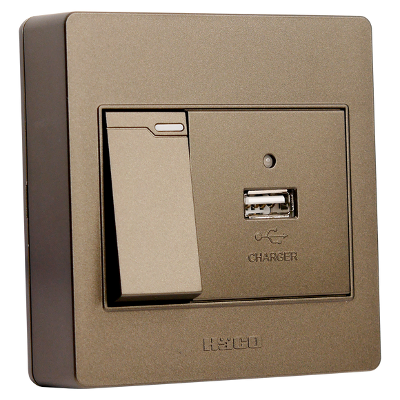 Haco-M3N-USB2S-CC USB SOCKET (CHOCO)